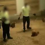 Bridgewater Poultry Farm
