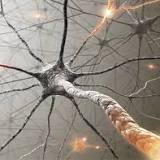 Amyotrophic lateral sclerosis