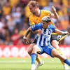 Brighton vs Wolves